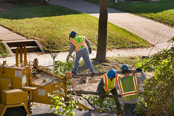 Best Firewood Processing and Delivery  in Norwalk, IA